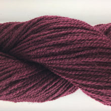 Load image into Gallery viewer, Briggs and Little Heritage 2ply Wool Yarn