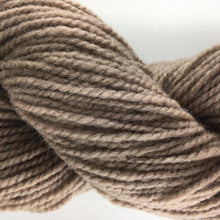 Load image into Gallery viewer, Briggs and Little Heritage 2ply Wool Yarn