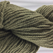 Load image into Gallery viewer, Briggs and Little Heritage 2ply Wool Yarn