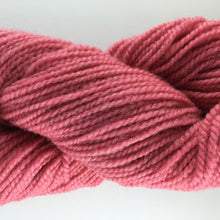 Load image into Gallery viewer, Briggs and Little Heritage 2ply Wool Yarn