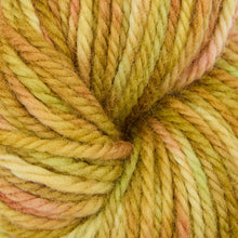 Load image into Gallery viewer, Violet Jane Fine Yarn - Variegated Colours